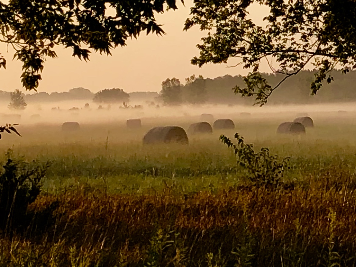 Lawrence dog park users voice opposition to city’s plan to build road